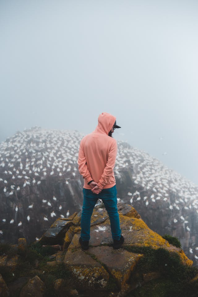 pexels-introspectivedsgn-4751181